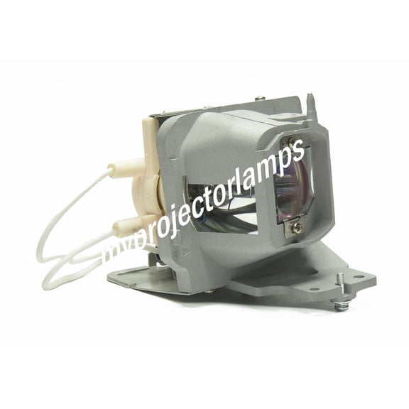 Optoma HD39Darbee Projector Lamp with Module