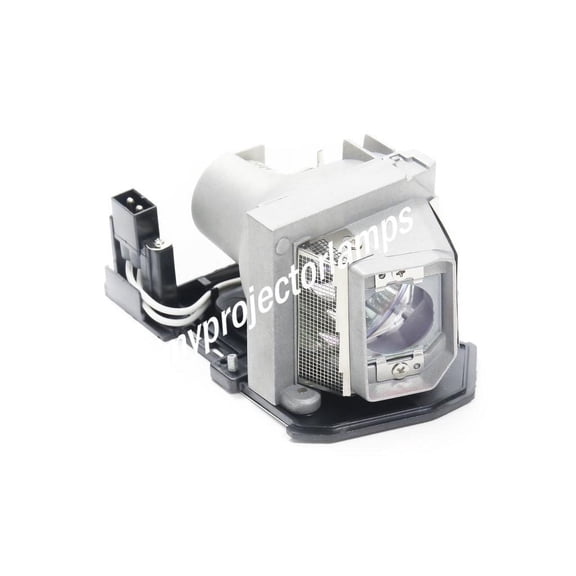 Optoma OP-X2510 Projector Lamp with Module