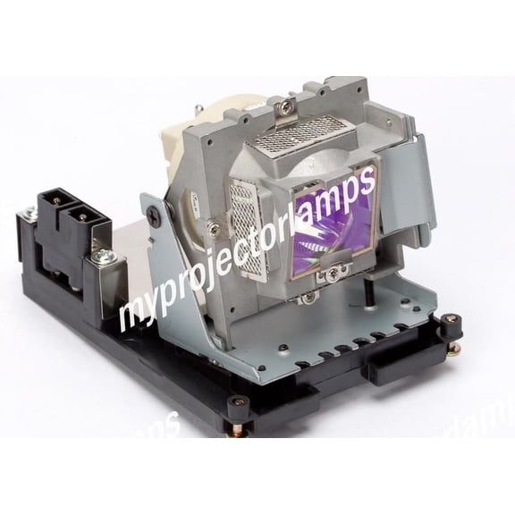 Optoma OPH5000 Projector Lamp with Module