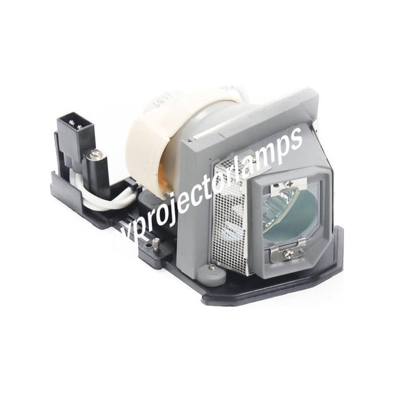 Optoma PRO160S Projector Lamp with Module