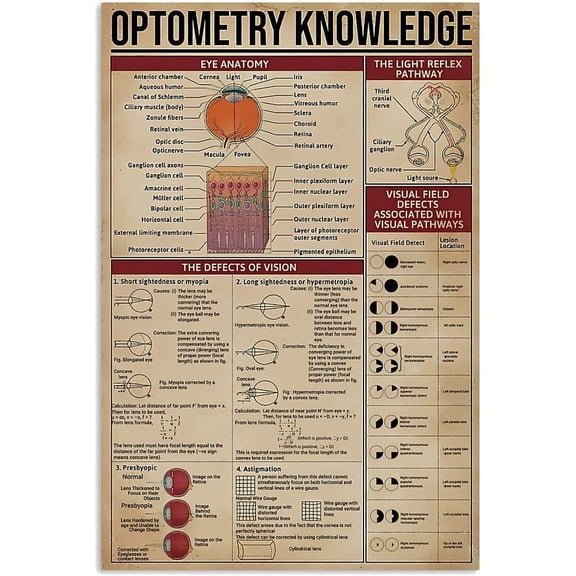 Optometry Knowledge Metal Signs Optometry Infographic Reading Posters Optometrist Guide Tin Plaques Clinics Shops Room Decor Wall Dcor 8x12 inches