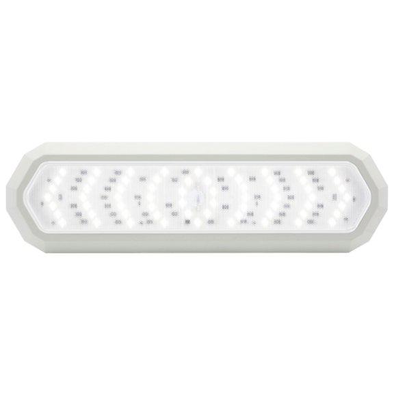 Optronics ILL02CEHBP Opti-Brite 66-LED White Dome Light without Switch