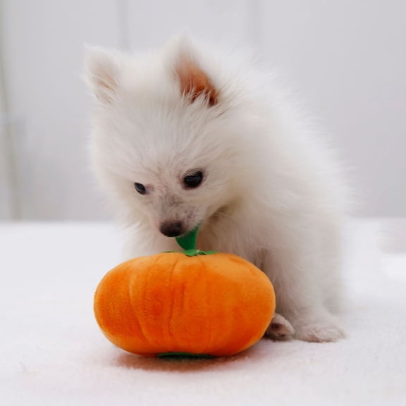 Opvise Dog Chew Toy Bite Resistant Scentless Scratch-resistant Wear-resistant Indeformable Relieve Boredom Built-in Sounder Cartoon Dog Stuffed Squeaking Pet Toy for Entertainment Orange