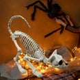 thumbnail image 1 of Opvise Halloween Decoration Realistic Looking Decorative Enhance Atmosphere Cat Skeleton Halloween Ornament for Home Beige, 1 of 7
