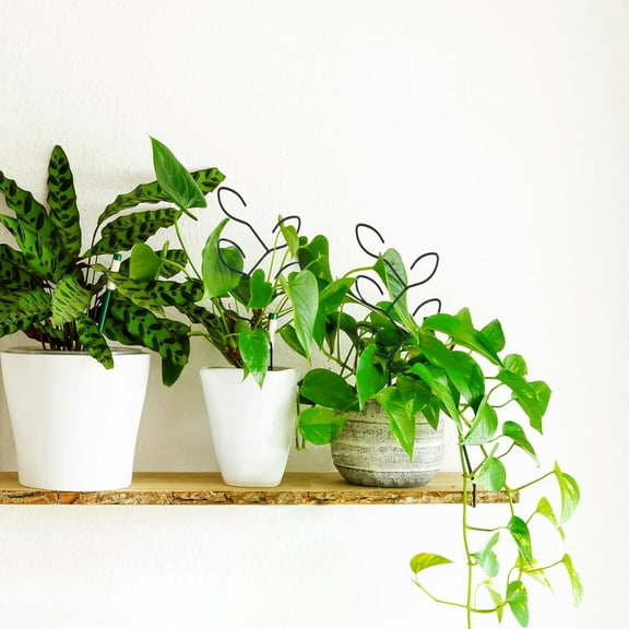 Opvise Sturdy Metal Plant Trellis with Elastic Coating for Indoor/Outdoor Potted Plants, Leaf Design Support for Climbing Vines, Durable Garden Stake 2pcs