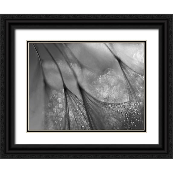 Or, Keren 24x19 Black Ornate Wood Framed with Double Matting Museum Art Print Titled - Untitled