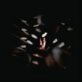 thumbnail image 1 of Ora Cogan - Shadowland - Music & Performance - Vinyl, 1 of 1