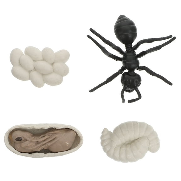Oraceous 1 Set Vivid Simulation Worker Ants Evolution Models Plastic Worker Ants Cognitive Toys