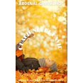 thumbnail image 1 of Oraciones de David: Adorando perfectamente (Hardcover), 1 of 1
