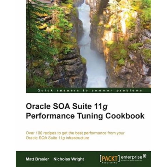 Oracle Soa Suite 11g Performance Cookbook (Paperback)
