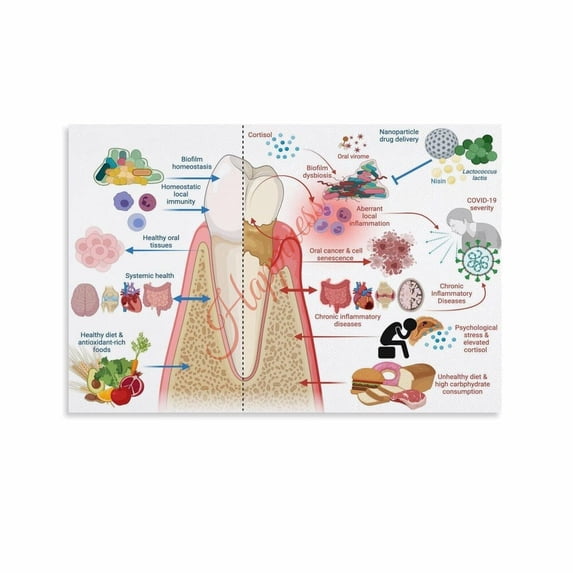 Oral Health And Systemic Health Balance Poster Dental Health Wall Art ...