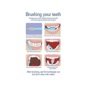 Oral Hygiene Guide Metal Sign Comprehensive Brushing Teeth Chart Daily Routine For Bathroom Dental Office Kids Room 12x8 Inch
