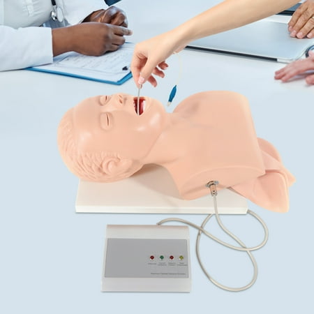 Oral & Nasal Intubation Training Model with Electronic Display, Alarm, Music & Pupil Comparison for Medical Training (220V) - Complete Kit
