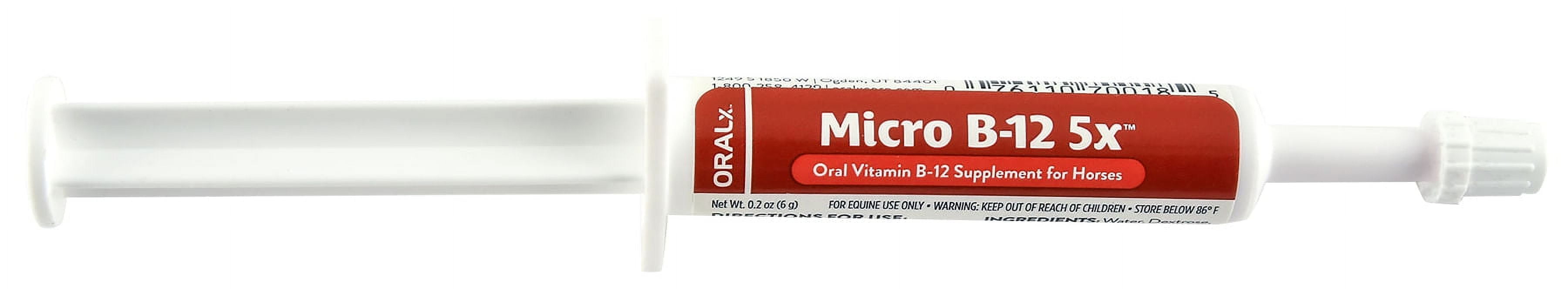 Oralx Corporation Micro B-12 5X Paste for Horses