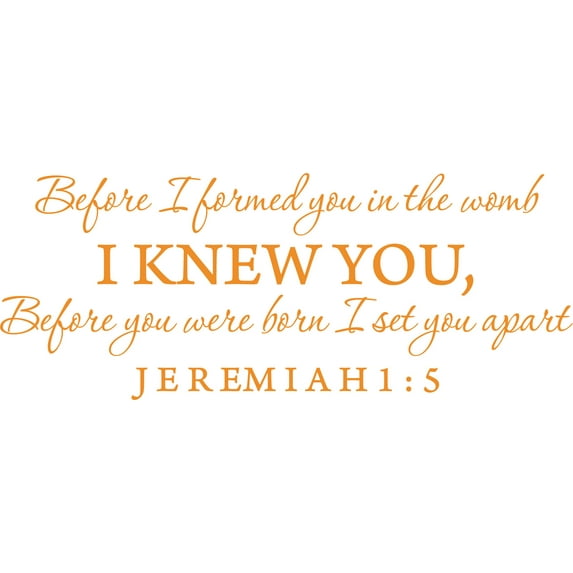 Orange 22" x9" Decaltor Before I formed you in the womb Jeremiah 1:5 Vinyl wall art family mother newborn bible prayer Inspirational quotes and saying home décor