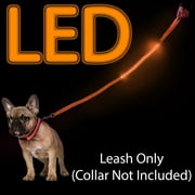 Orange 4 Foot Illuminated LED Pet Leash - Recharged via USB Charger Included