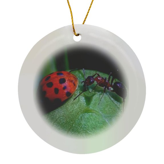 Orange And Black Lady Bug And Ant On A Green Leaf, Circle Porcelain Ornament