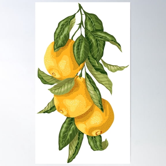 Orange And Lime Fruit Tree Blooming Branches Poster Wall Art, Modern Wall Decor For Living Room Bedroom, 12x18 UNFRAMED