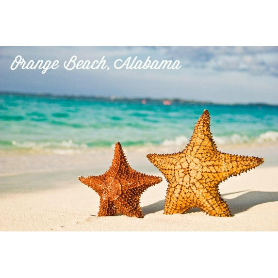 Orange Beach, Alabama, Starfish on Beach (36x54 Giclee Gallery Art Print, Vivid Textured Wall Decor)