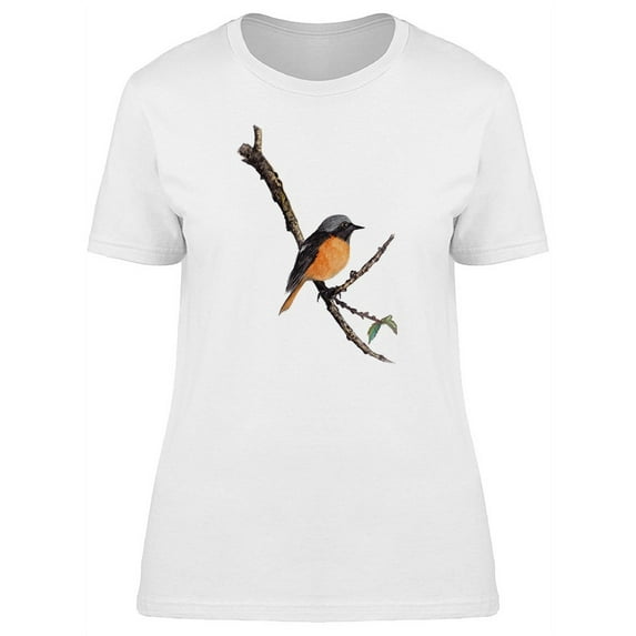Orange Belly Bird On Branch T-Shirt Women -Image by Shutterstock, Female XX-Large