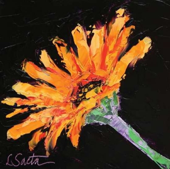 Orange Blossom Canvas Art - Leslie Seata (24 x 24)