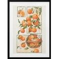 thumbnail image 1 of Orange Blossom Framed Art Modern Wall Decor, 1 of 15