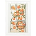 thumbnail image 1 of Orange Blossom Framed Art Modern Wall Decor, 1 of 15