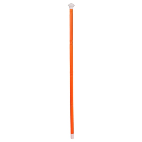 Orange Cane Costume Accessory