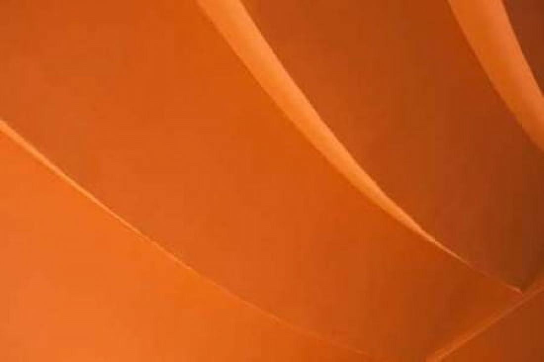 Orange Canvas Art - Karyn Millet (24 x 36)
