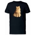 thumbnail image 1 of Orange Cat Looking Surprised Tee Men's -Image by Shutterstock, 1 of 4