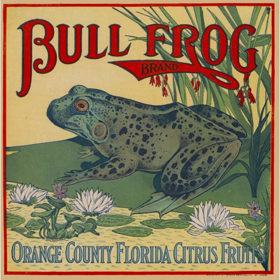 Orange County Florida Bull Frog Orange Citrus Fruit Art Print Home Decor Office Wall Art