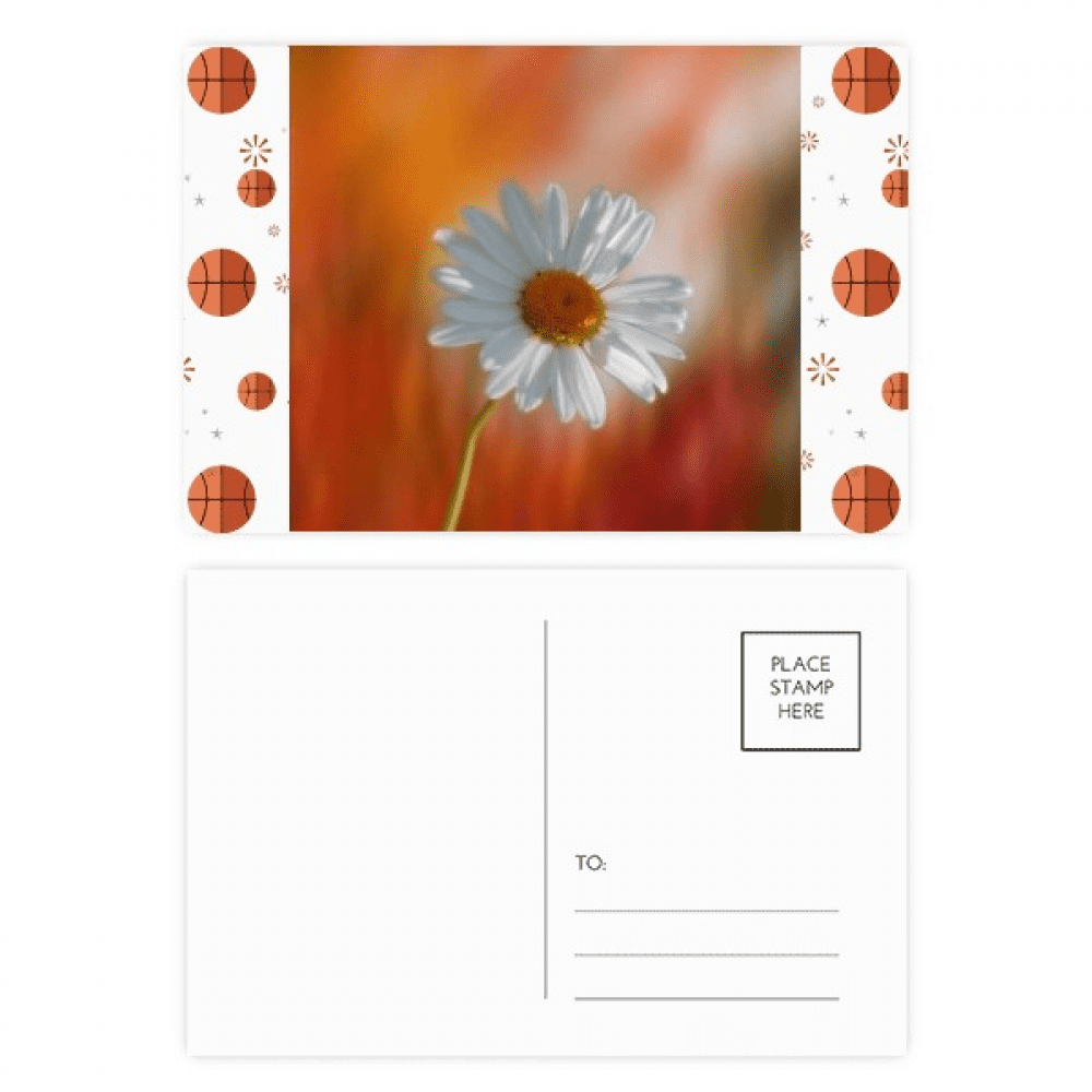 Orange Dark White Beautiful Flowers Basketball Postcard Set Thanks Card Mailing Side 20pcs