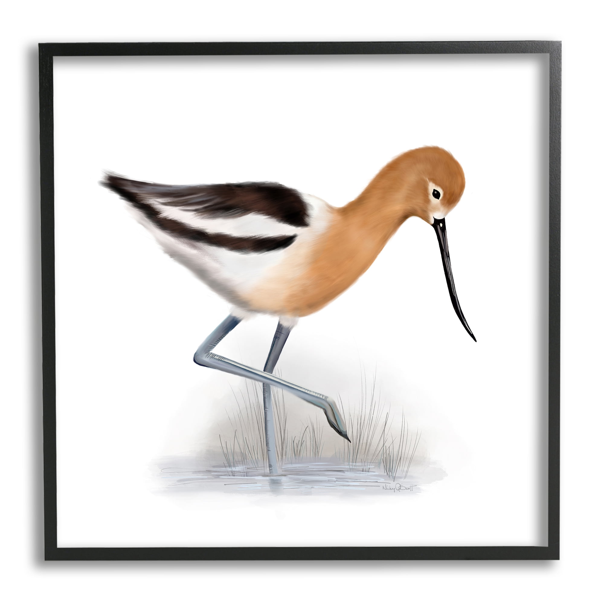 Orange Feathered Avocet Wetland Bird Long Beak Animals & Insects Framed Art Print Wall Art, 17x17