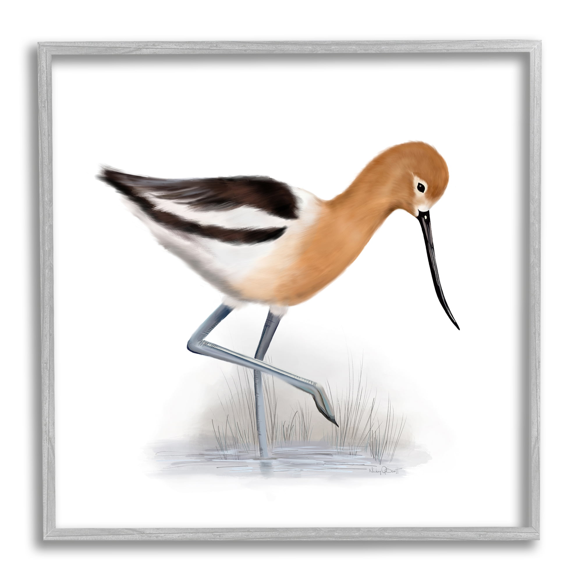 Orange Feathered Avocet Wetland Bird Long Beak Animals & Insects Framed Art Print Wall Art, 17x17