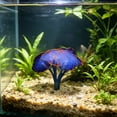 thumbnail image 1 of Orange Fish Tank Decoration, Glow-in-the-Dark Silicone Sea Anemone 4x3.5 Inches, Luminous Aquarium Decor Ornament for Fish Tank, Soft Flexible Tentacle Plant for Freshwater Saltwater, 1 of 6