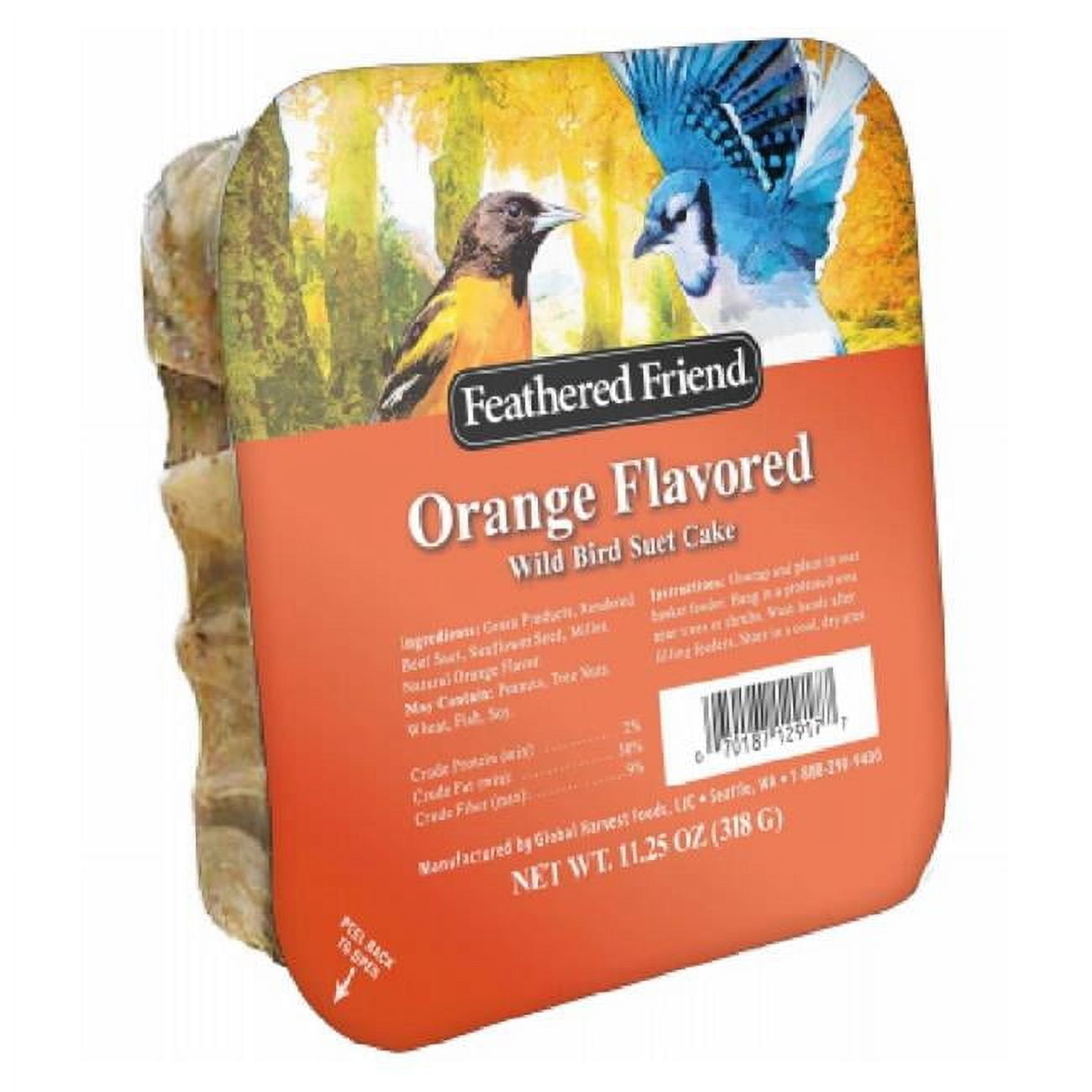 Orange FlavorSuet Wild Birds Suet Cake