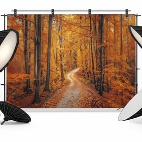 Orange Forest Backdrop for Photoshoot, Photography Photo Studio Background Wall Backdrop, Fall Tree Botanical Maple Leaf Back Drop Banner Panel for Portraits Wedding Party Live Streaming Decor 12x8Ft