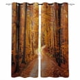 thumbnail image 1 of Orange Forest Blackout Curtains for Bedroom/Living Room, Thermal Insulated Kitchen Curtains, Fall Tree Botanical Maple Leaf Grommet Darkening Window Treatment Drapes 42"x84"x2, 1 of 8