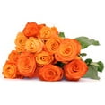 thumbnail image 1 of Orange Fresh Cut Roses, 1 of 1