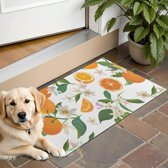 Orange Fruits Flowers White Pattern Door Rugs,Washable Non Slip Door Mats Indoor,Decorative Door Mats,Entry Mat Indoor for Entrance,Bedroom,Kitchen,Bathroom,16"x24"