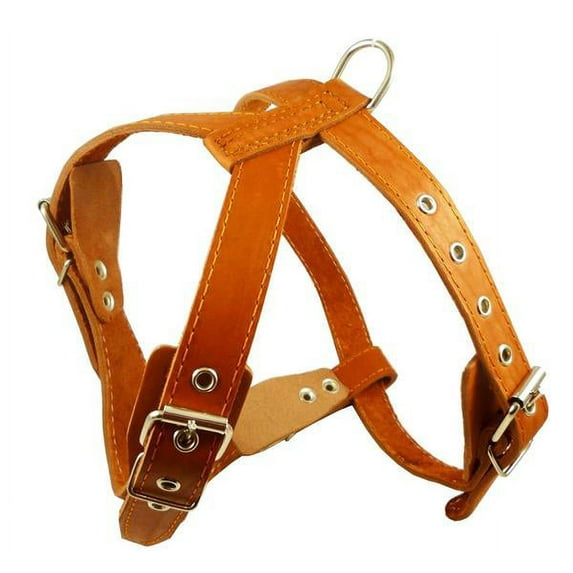 Orange Genuine Leather Dog Harness, Medium. 25"-30" Chest, 1" Wide Adjustable Straps