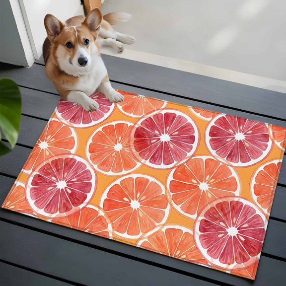 Orange Grapefruit Slices Small Area Rugs 2x3 Pink Citrus Pattern Fruit Farmhouse Entryway Rugs Washable Door Mat, Low-Profile Area Rugs Non Slip Floor Carpet for Living Room Bedroom Home Office