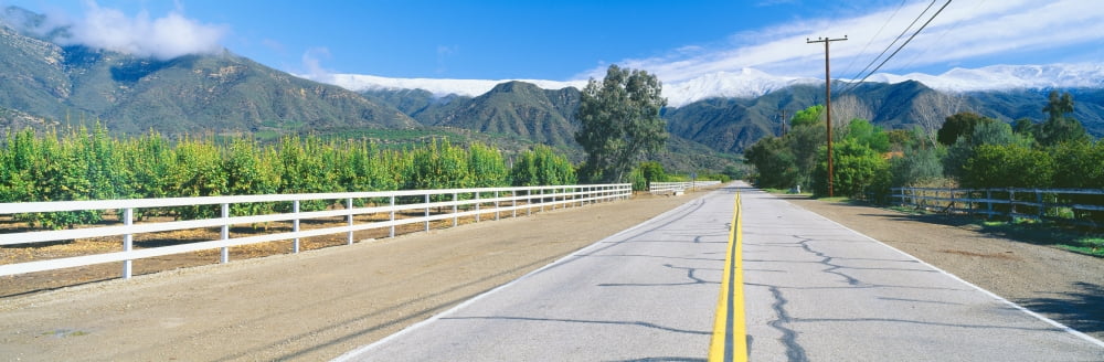 Orange Groves & Snow on Topa Topa Mountains Ojai California Canvas Art - Panoramic Images (36 x 12)