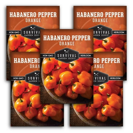 Orange Habanero Pepper Seeds - 5 Pack - Non-GMO Heirloom Full Sun Annual Vegetable