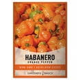 thumbnail image 1 of Orange Habanero Pepper Seeds, 1 of 7