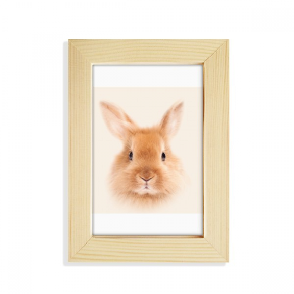 Orange Hair Hare Ears Art Deco Fashion Desktop Display Photo Frame Picture Art Painting 5x7 inch