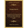 thumbnail image 1 of Orange Insects : A Treatise On The Injurious And Beneficial Insects Found On The Orange Trees Of Florida (1880) (Paperback), 1 of 1
