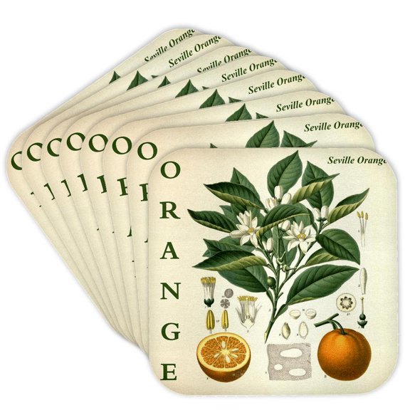 3drose, Orange Kitchen Art - Citrus Fruit Tree Leaves Flowers Plant Print, Set of 8 Coasters - Soft