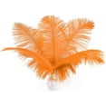 thumbnail image 1 of Orange Large Ostrich Feathers - 24Pcs 12-14inch Big Feathers for Crafts,Wedding Party Centerpieces and Halloween Home Decor, 1 of 14