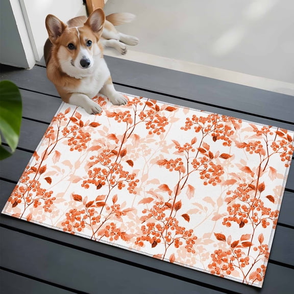 Orange Leaf Fruit Front Door Rugs 2x3 ft Plant Nature Vintage Botanical Small Rug for Entryway Non Slip Washable Bathroom Door Mat Absorbent Floor Mat for Indoor Entrance